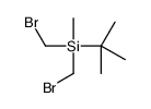 bis(bromomethyl)-tert-butyl-methylsilane