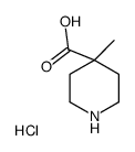 4-甲基-4-哌啶甲酸盐酸盐