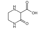 3-氧代哌啶-2-甲酸