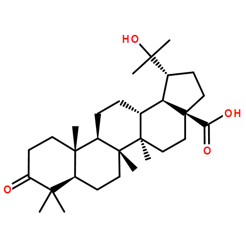 20-Hydroxy-3-oxo-28-lupanoic acid对照品(标准品) | 93372-87-3