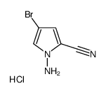 1-氨基-4-溴-1H-吡咯-2-甲腈盐酸盐