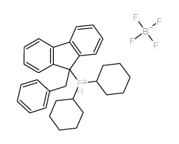 二环己基(9-苯甲基芴-9-基)四氟硼酸磷