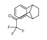 Ethanone, 2,2,2-trifluoro-1-(1,2,3,4-tetrahydronaphthalen-1,4-imin-9-yl)-