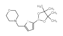 5-(4-吗啉甲基)噻吩-2-硼酸频哪酯