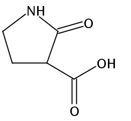 2-氧代-吡咯烷-3-羧酸 1033168