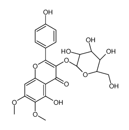 3-(beta-D-吡喃半乳糖氧基)-5-羟基-2-(4-羟基苯基)-6,7-二甲氧基-4H-1-苯并呋喃-4-酮