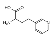 2-amino-4-pyridin-3-ylbutanoic acid