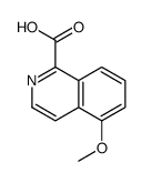 5-methoxyisoquinoline-1-carboxylic acid